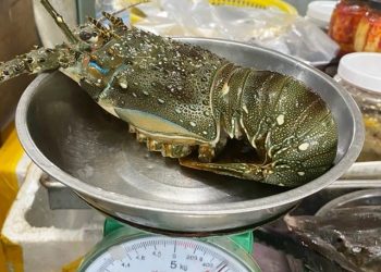 Giá hải sản tăng vọt