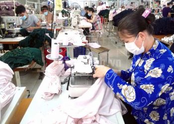 Chưa đạt mục tiêu đề ra về số doanh nghiệp do nữ làm chủ