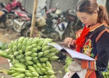 Xuất khẩu quả chuối vào thị trường Trung Quốc: Cách nào để gia tăng thị phần?