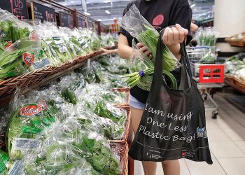 TP. Hồ Chí Minh vận động giảm sử dụng túi ni lông khó phân hủy và sản phẩm nhựa dùng một lần