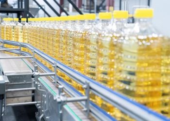 Giá dầu hướng dương và dầu hạt cải có thể giảm trong 2 tháng tới