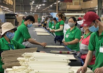 Hơn 40 doanh nghiệp gỗ nếu bị áp thuế chống bán phá giá: Nguy cơ phá sản hàng loạt