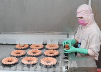Xuất khẩu tôm Việt Nam vẫn có nhiều cơ hội giữa vòng xoáy lạm phát toàn cầu