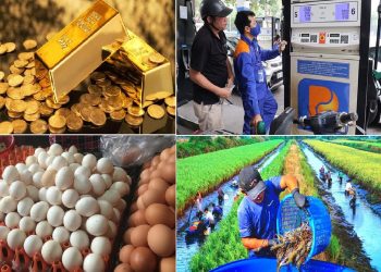 Tiêu dùng trong tuần (từ 19-25/9/2022): Nông dân phấn khởi vì giá tôm tăng cao