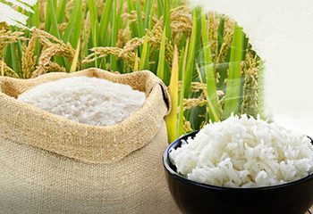 Triển vọng ‘sáng’ của xuất khẩu gạo