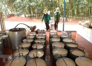 Hoạt động xuất khẩu cao su bị ảnh hưởng do nhu cầu giảm