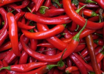 Phát hiện ớt tươi nhập khẩu từ Trung Quốc có tồn dư chất diệt công trùng