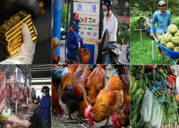 Tiêu dùng trong tuần (từ 3-9/10/2022): Giá thịt heo tăng đến 10.000 đồng/kg