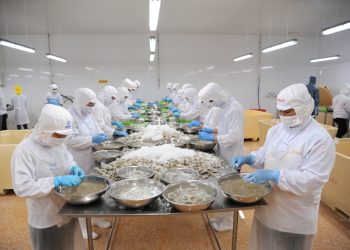 Nông nghiệp là trụ đỡ