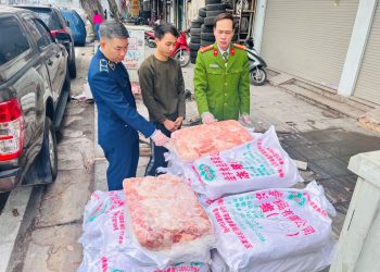 Hà Nội: Thu giữ gần 1 tấn nầm lợn bốc mùi hôi thối chuẩn bị mang đi tiêu thụ