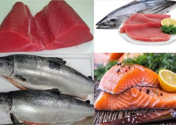 Thực phẩm người bệnh xương khớp nên bổ sung thường xuyên