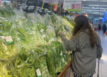 Chỉ số giá tiêu dùng tháng 2/2023 tăng 4,31% so với cùng kỳ 2022