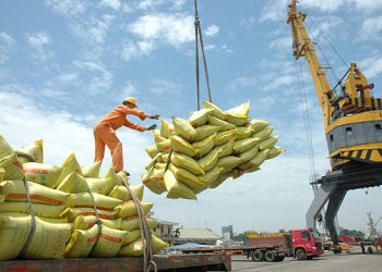 Giá gạo Việt Nam tăng lên mức cao nhất trong vòng 2 năm