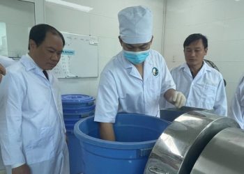 Việt Nam có bệnh viện y học cổ truyền đầu tiên đạt chuẩn GMP của WHO