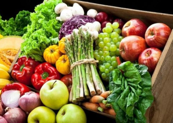 Xuất khẩu rau quả tăng mạnh, được kỳ vọng lập kỷ lục trong năm 2023