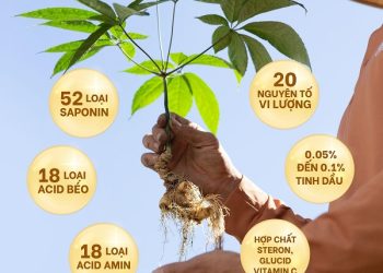 Cỏ Mềm phát triển nguồn gen cây dược liệu quý ở Lai Châu