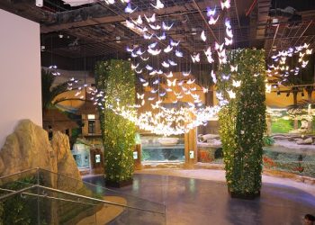 Thủy cung Lotte World Hà Nội chính thức đi vào hoạt động