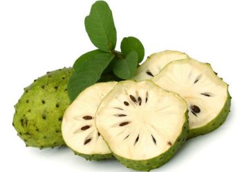 Những lợi ích sức khỏe ít người biết của quả mãng cầu