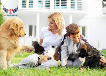 TLP Multi Function trước tương lai tăng trưởng vượt bậc của ngành công nghiệp thú cưng