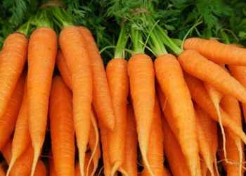 Lợi ích của việc ăn cà rốt vào mùa đông