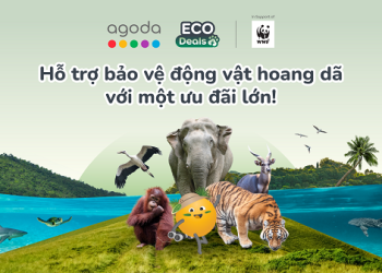 Agoda mở rộng Quan hệ đối tác với WWF và Cam kết 1 triệu USD cho Bảo tồn Động vật hoang dã