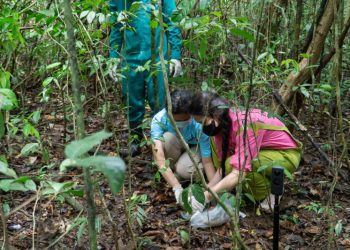 Bella Vũ chung tay đưa động vật hoang dã về mái nhà xanh