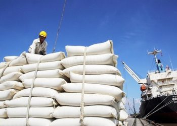 Xuất nhập khẩu Việt Nam – Philippines có thể phá kỷ lục trong năm 2024