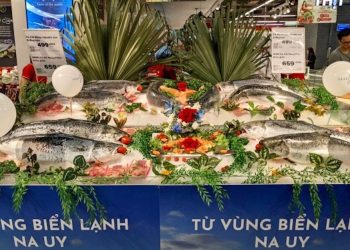 Hải sản Na Uy duy trì vị trí hàng đầu trong nhóm hải sản nhập khẩu tại thị trường Việt Nam