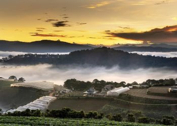 Agoda tiết lộ Đà Lạt là điểm đến giá rẻ hàng đầu dịp cuối năm