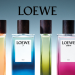 LOEWE Botanical Rainbow: Tứ Hương Lan Tỏa Vẻ Đẹp Thiên Nhiên
