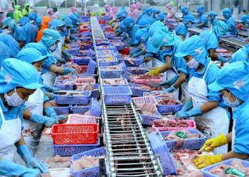 Xuất khẩu thuỷ sản: Khởi sắc đầu năm nay nhưng đối diện nhiều thách thức