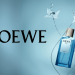 LOEWE Ra Mắt Agua Drop – Sự Hòa Quyện Tinh Tế của Sương Mai Tươi Mát và Hương Gỗ Đậm Đà
