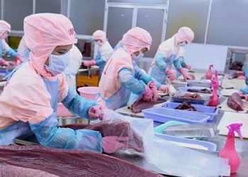 Dư địa tăng trưởng xuất khẩu từ thị trường Anh