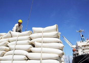 Xuất khẩu gạo: Doanh nghiệp lao đao vì giá giảm và vướng mắc VAT