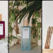 Khám Phá Thế Giới Nước Hoa Đẳng Cấp Từ LOEWE