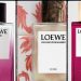 Tinh Túy Tây Ban Nha Trong Từng Làn Hương LOEWE