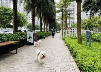 Cần hình thành “văn hóa nuôi thú cưng” trong chung cư