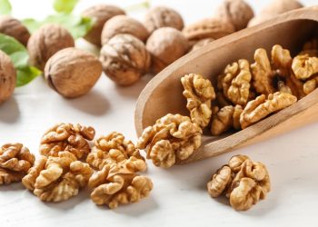 Trí não – “Trụ cột sức khỏe” thường bị bỏ quên trong giai đoạn vàng 6-11 tuổi