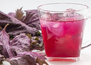 Lá tía tô: Gia vị quen thuộc, vị thuốc quý trong đời sống hằng ngày