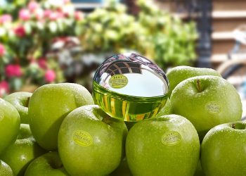 DKNY Delicious Collection – Sắc hương biểu tượng của  New York