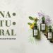 Monotheme Natural – Hương Thơm Mới Dành Cho Tâm Hồn Yêu Thiên Nhiên