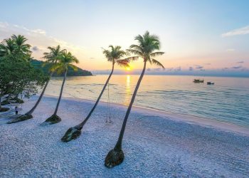 Agoda: Việt Nam Vươn Lên Trở Thành Điểm Đến Yêu Thích Dịp Cuối Năm   Của Các Gia Đình Khắp Châu Á Và Thế Giới