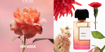 Impadia – Hình Ảnh Paris Dưới Góc Nhìn Nghệ Thuật